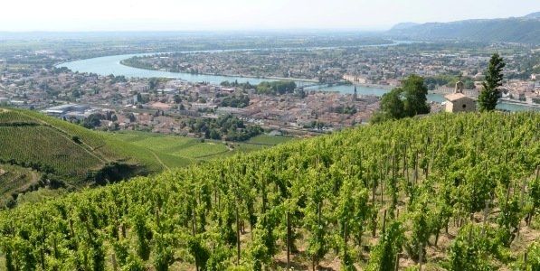 Spesialslipp Oktober: Rhone med mer