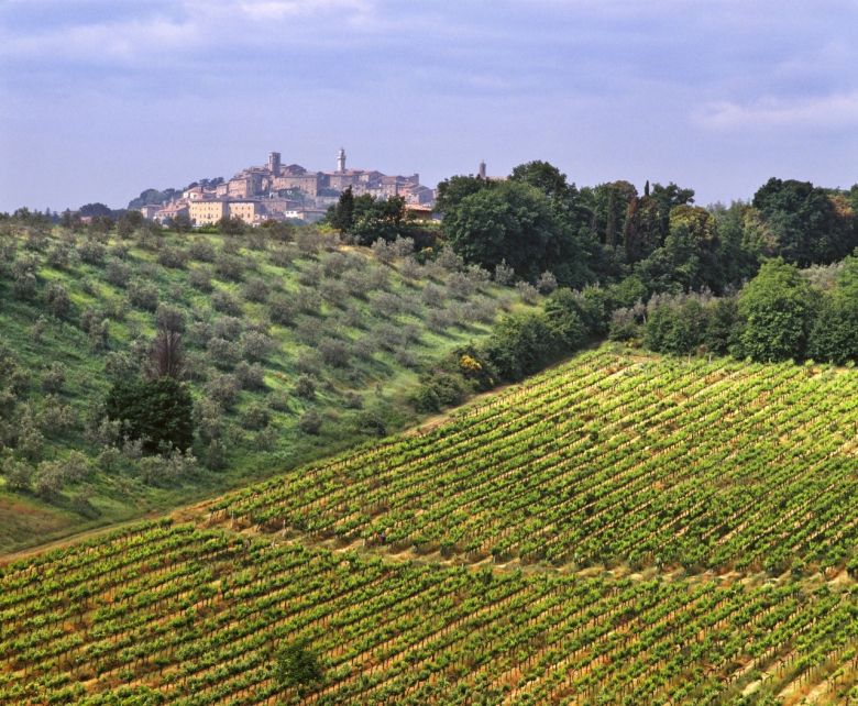 Test: Vino Nobile di Montepulciano