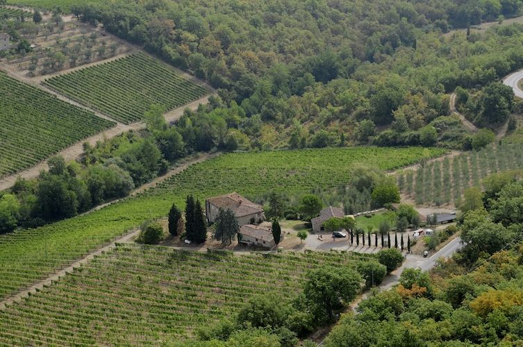 Ukens vin: Klassisk Chianti Classico