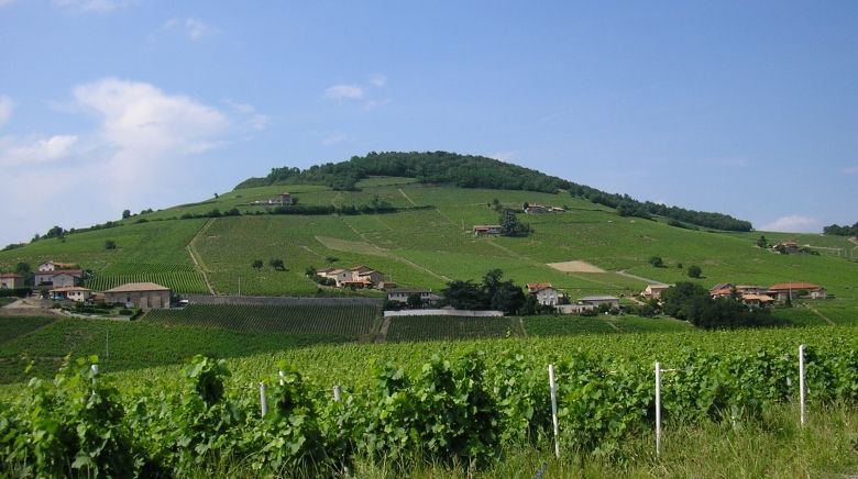 Beaujolais Nouveau 2016