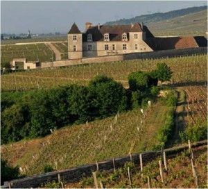 Burgund i spesialbutikkene
