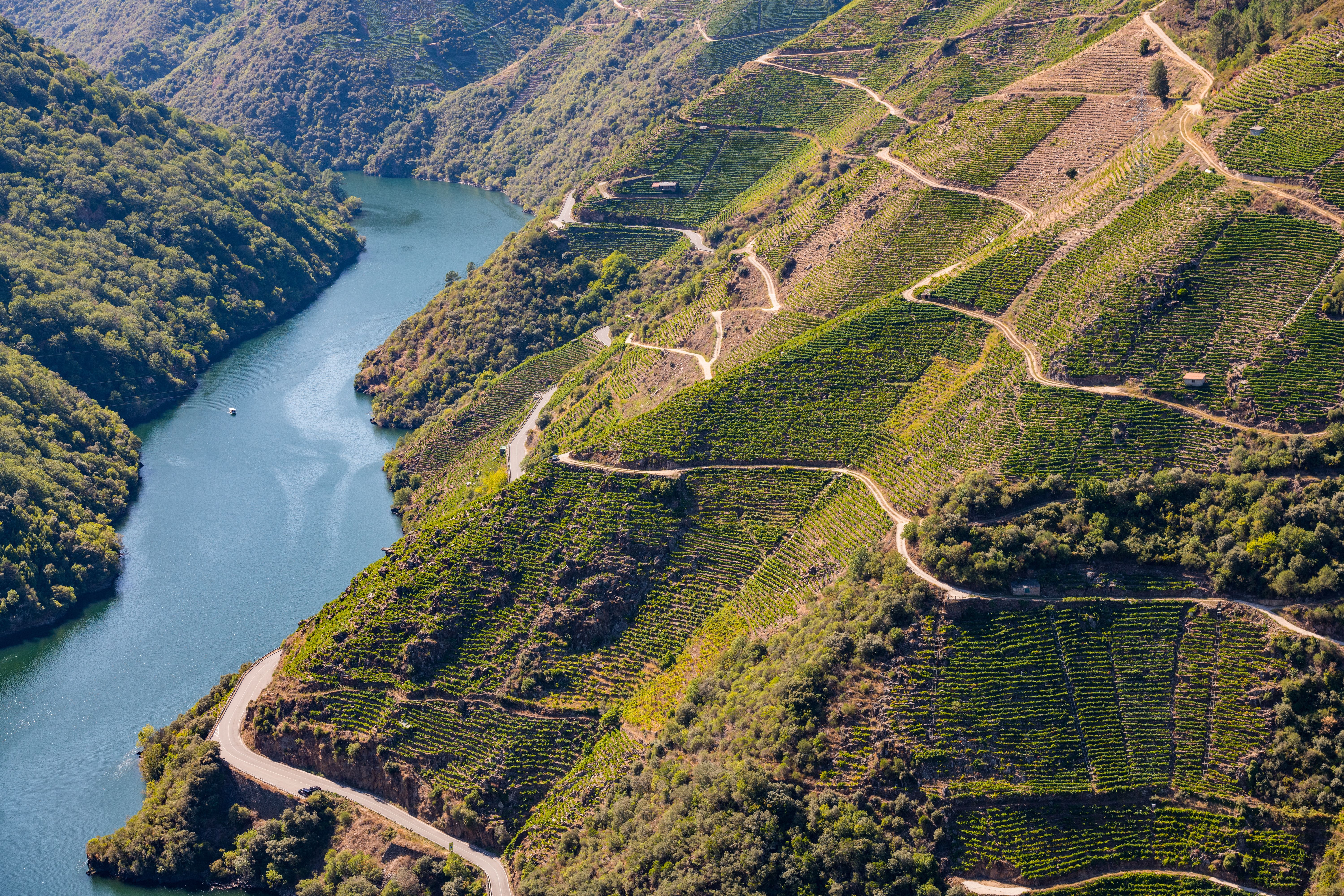 Hvordan vise fram Galicias terroir?
