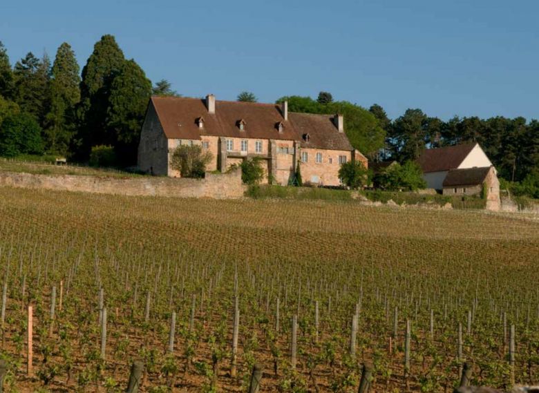 Test: Rødvin fra Côte de Nuits-Villages, Fixin og Marsannay