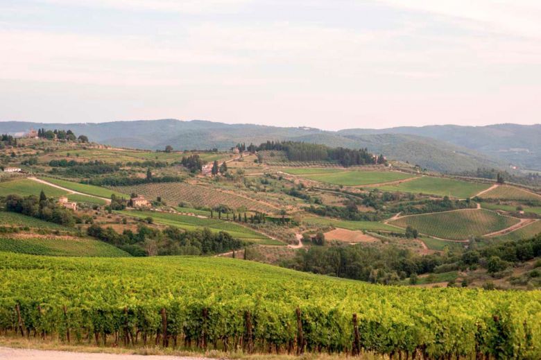 Test: Chianti Classico Gran Selezione