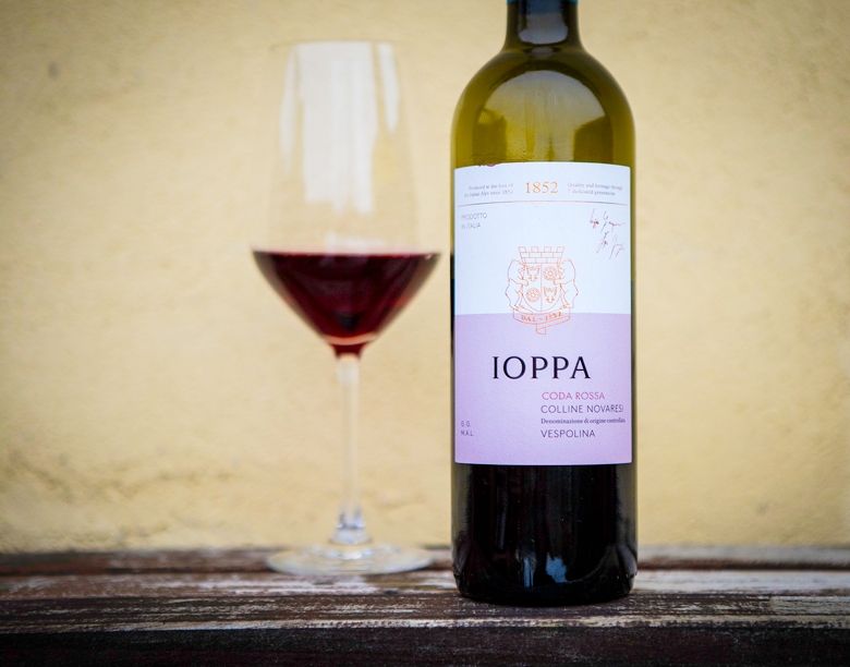 Ukens vin: Vespolina