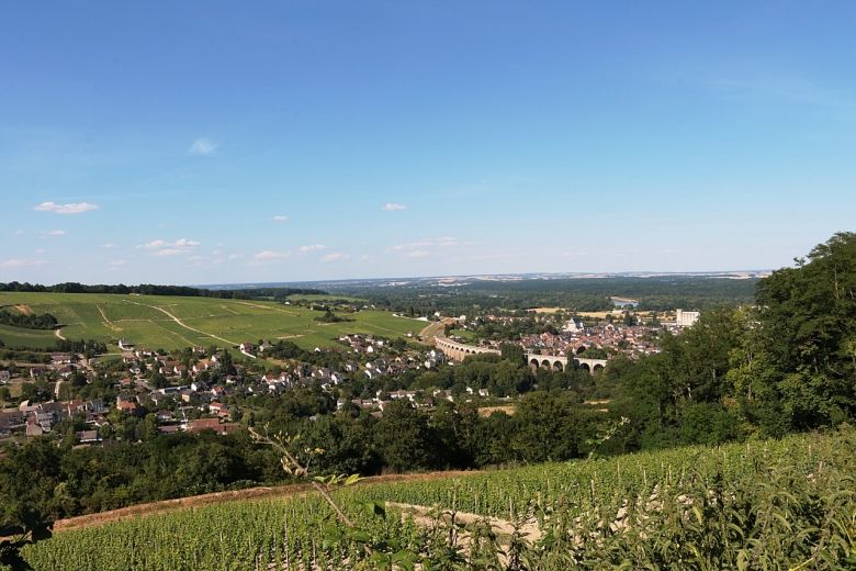 Ukens vin: Superb rød Sancerre