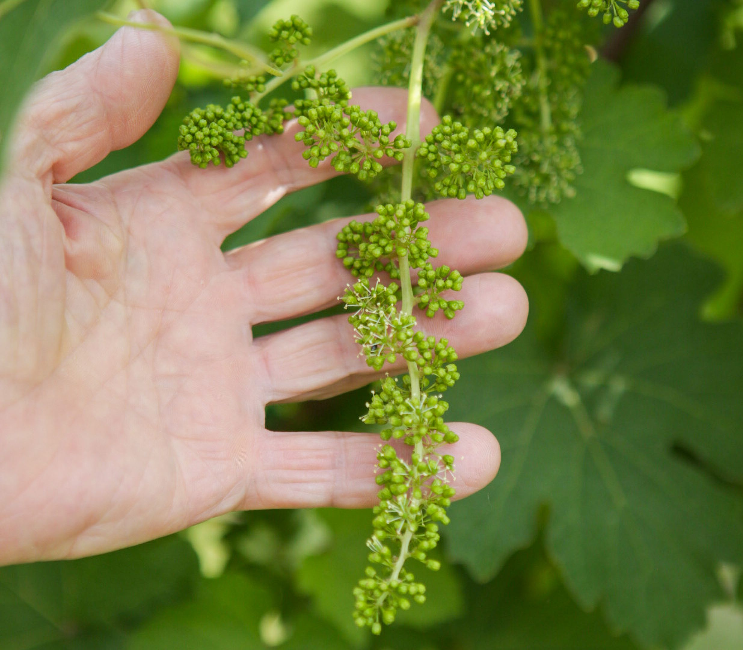 Hva er egentlig «avkastning»?