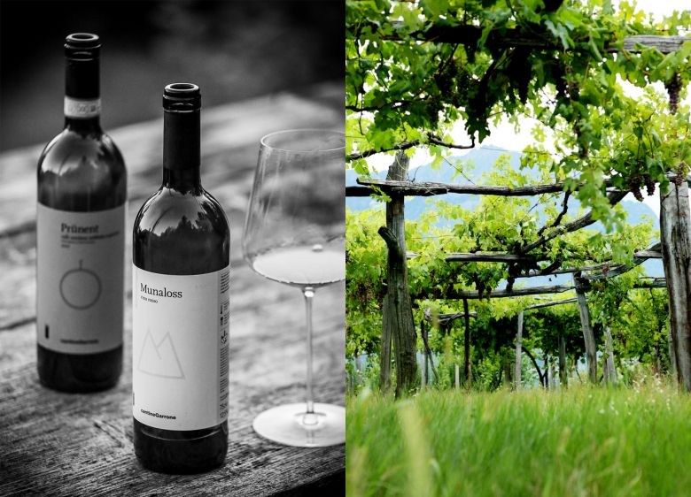 Ukens vin: Val d'Ossolas redning