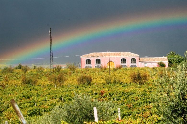 Spesialslipp for italiensk vin