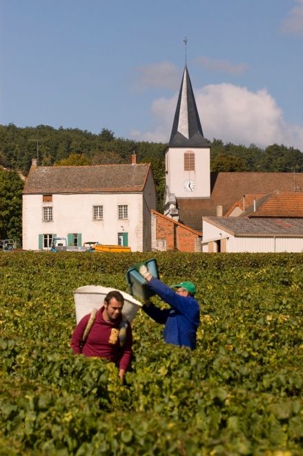 Burgundslippet 2019