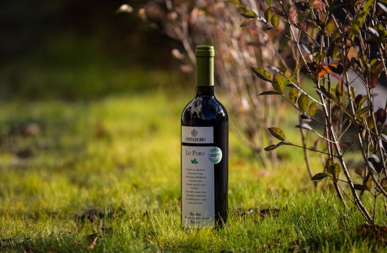 Ukens vin: Naturvin fra Marche
