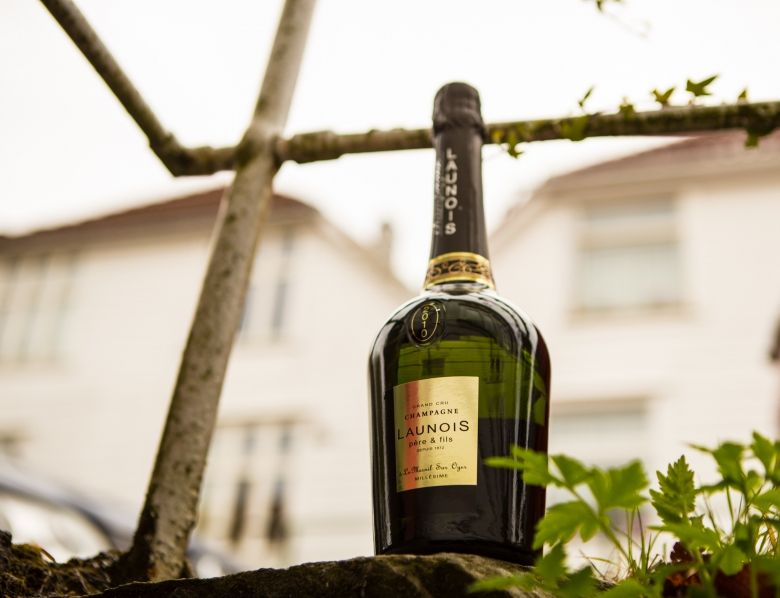 Ukens vin: Lekker vin fra Launois