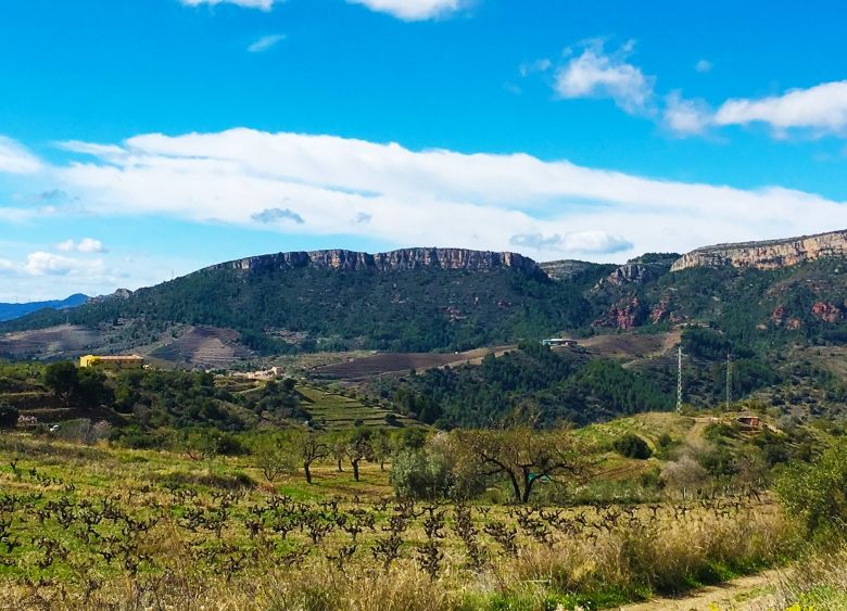 Ukens vin: Proper Priorat