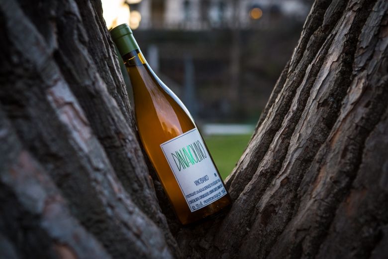 Ukens vin: Denavolos Dinavolino