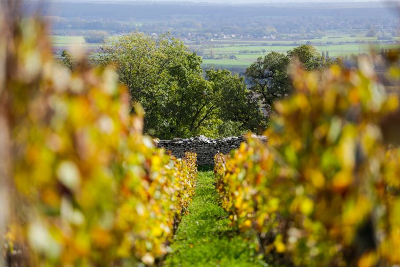Burgund 2021: Smaking hos Moestue
