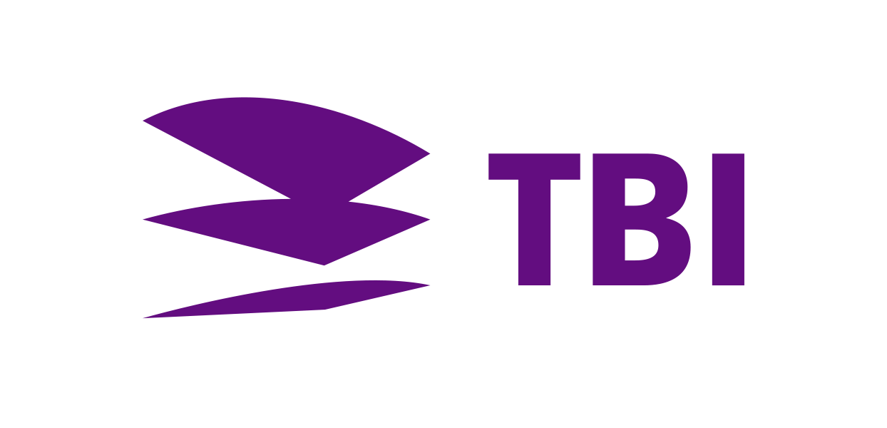 Afbeelding van TBI - Programmamanager AI