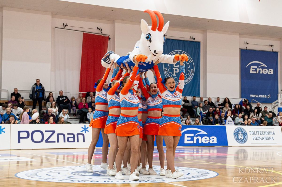 Cheerleaderki w pomarańczowo-niebieskich strojach podnoszą maskotkę klubu – białą kozę – podczas przerwy w meczu w hali CSPP.