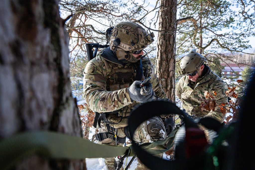 Forsvar og nasjonalt sjølvstende