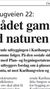 Byrådet gambler med naturen på Furuset