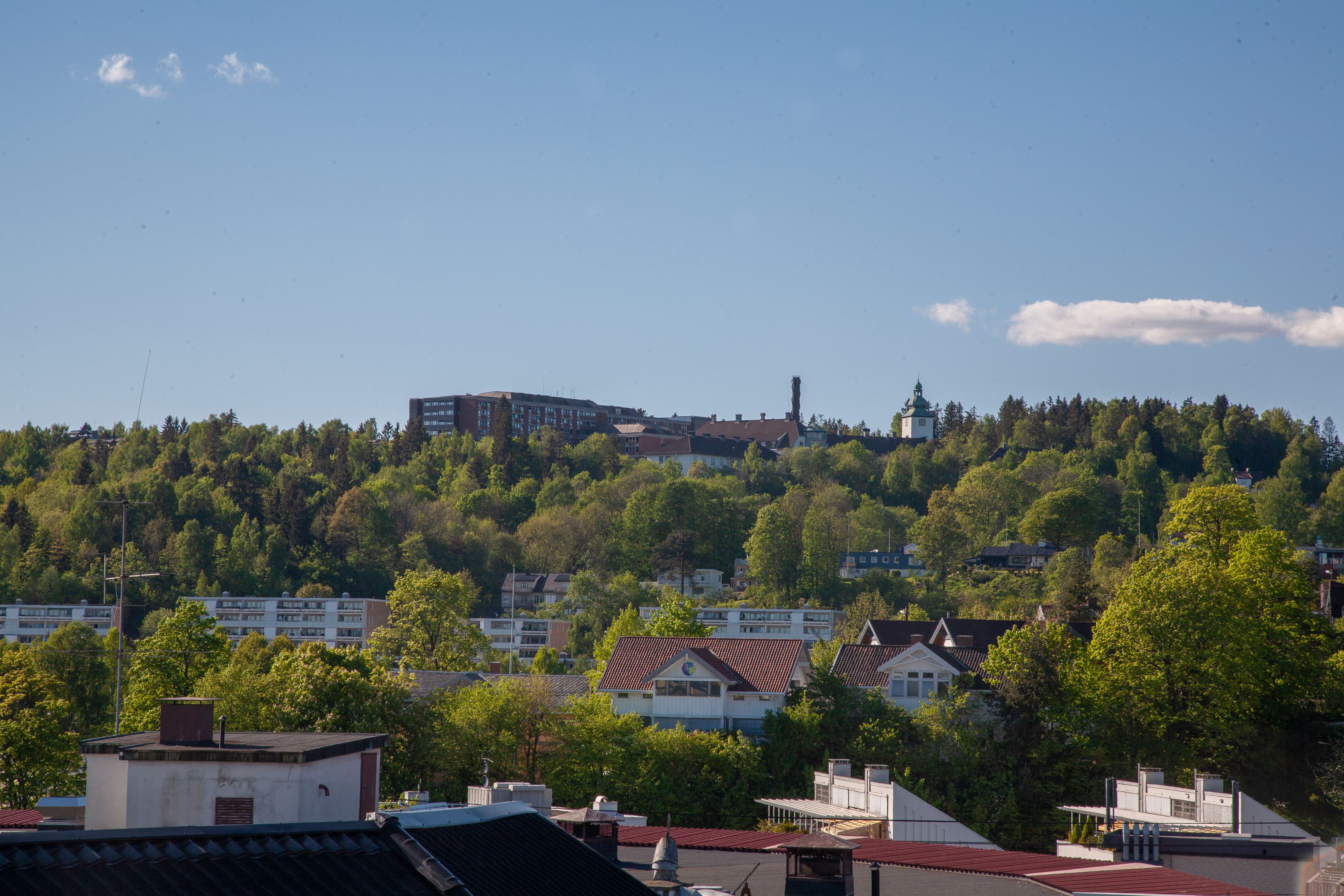 Program. Helse og velferd