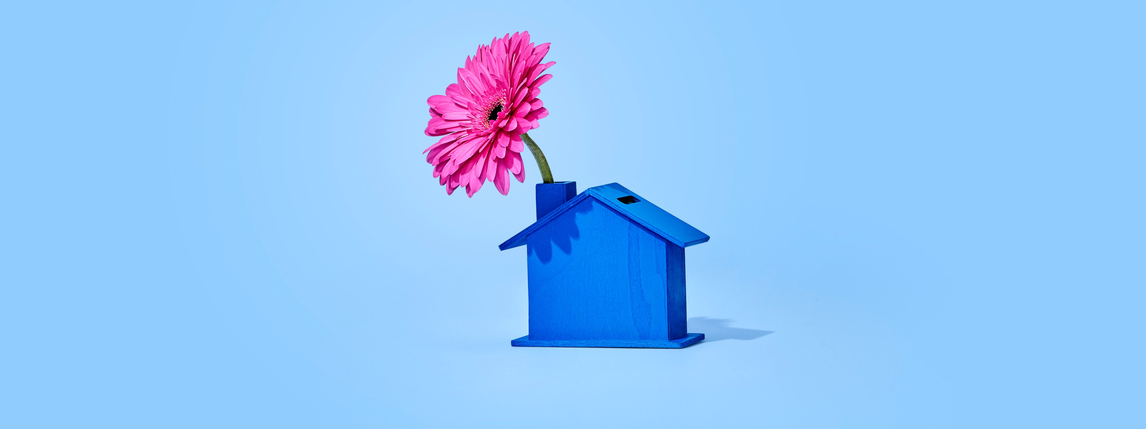 Huisje blauw met bloem