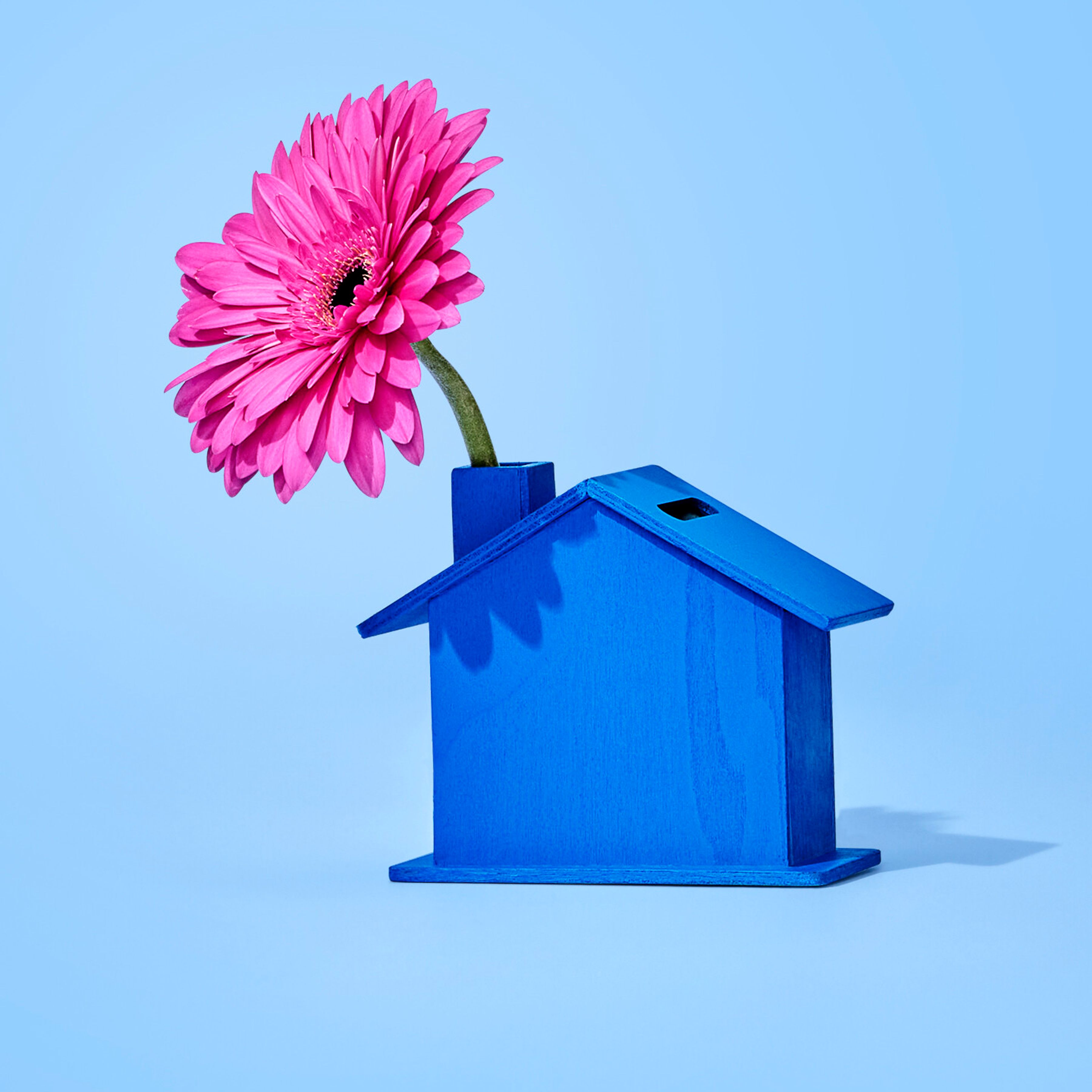 Huisje blauw met bloem