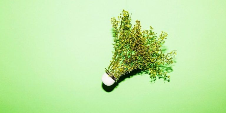 Bol.com meest duurzame e-commerce merk in de Sustainable Brand Index 2021