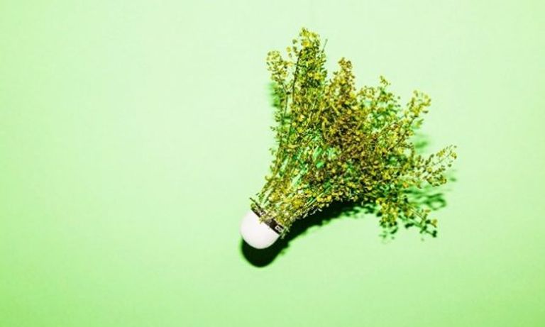 Bol.com meest duurzame e-commerce merk in de Sustainable Brand Index 2021