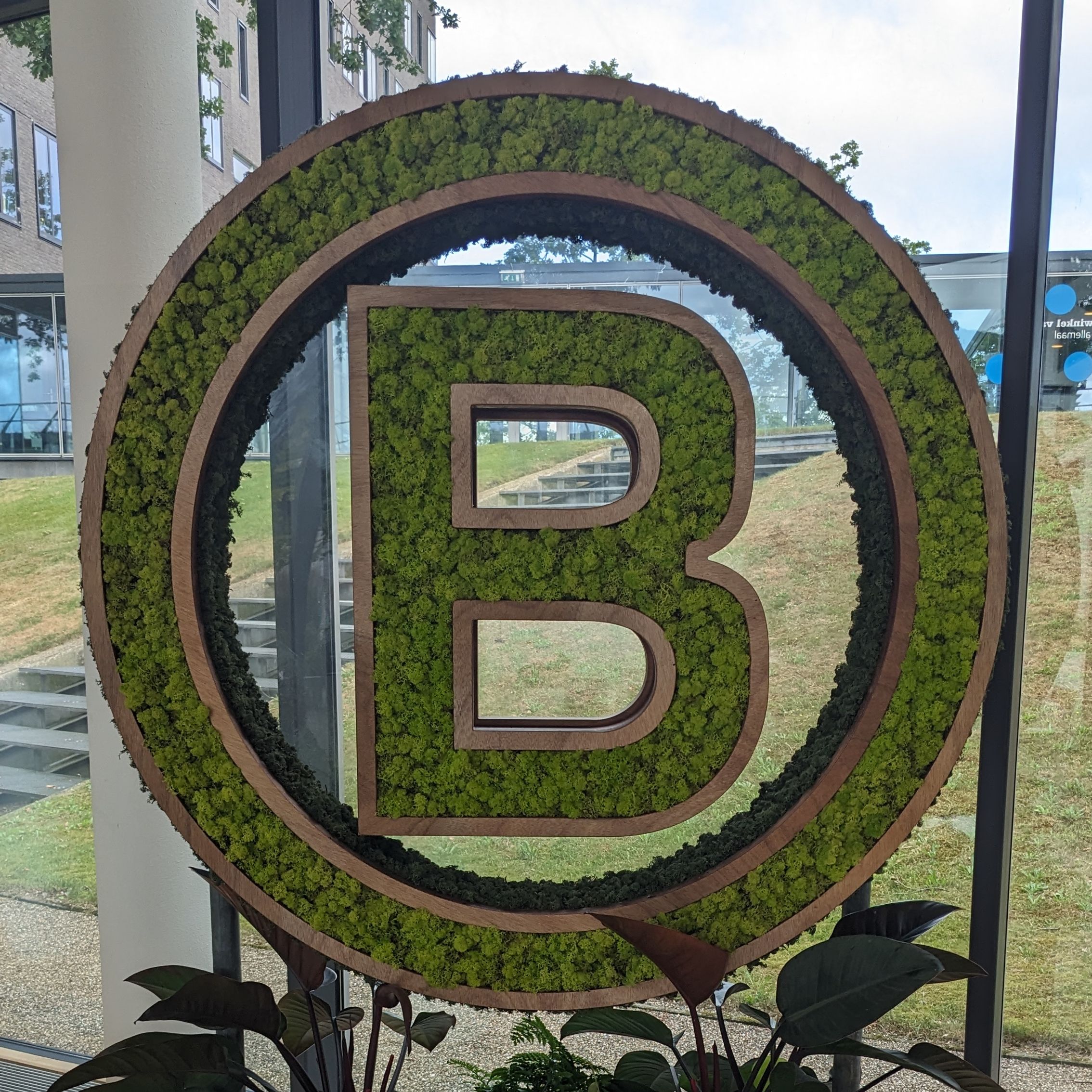 B Corp