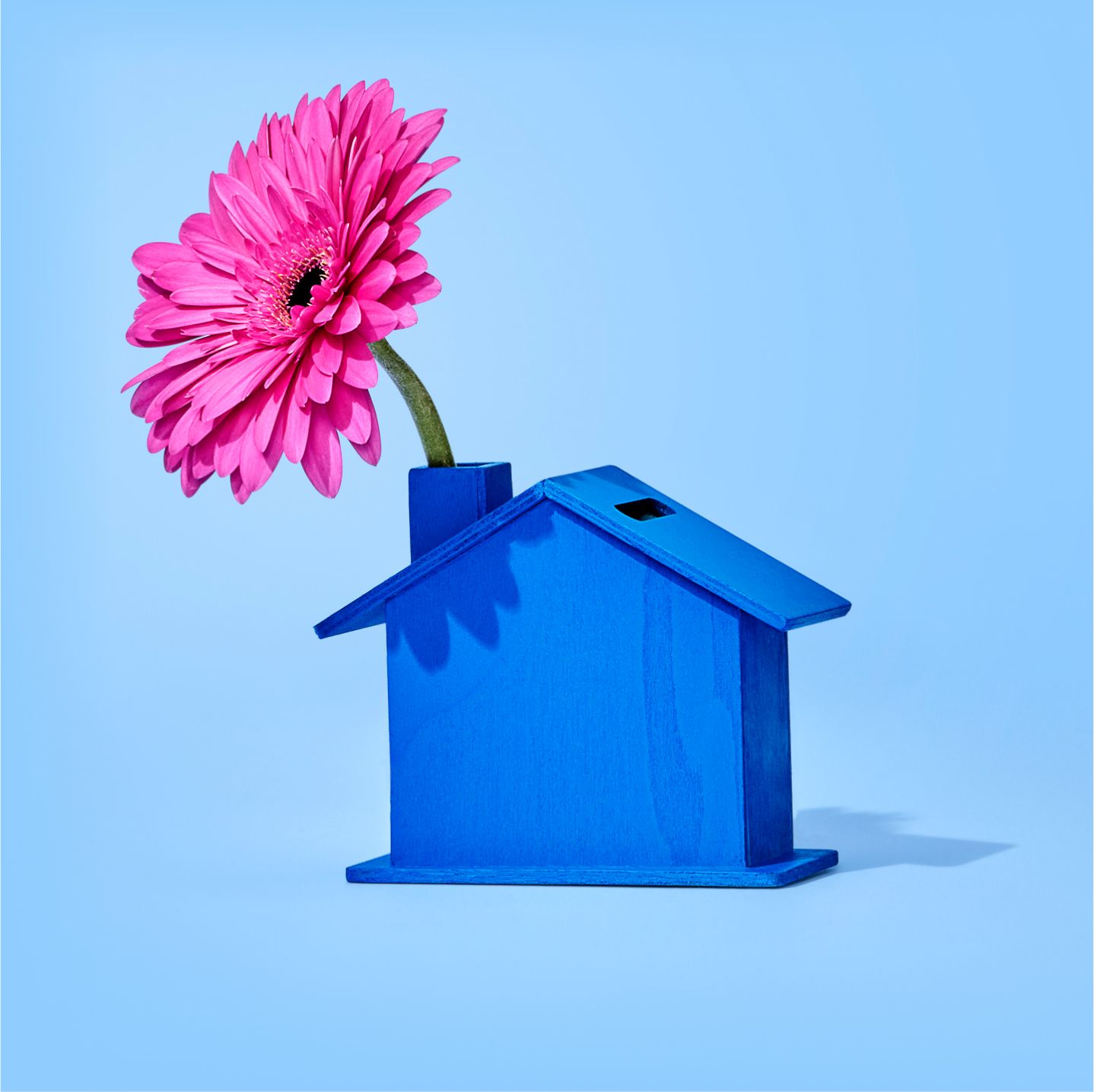 Huisje met bloem