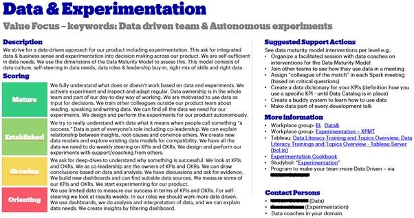 PIP One Pager Example