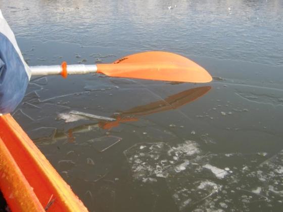 2012 - Pilica, zdjęcie 17 z 40, fot. Dzieciuch