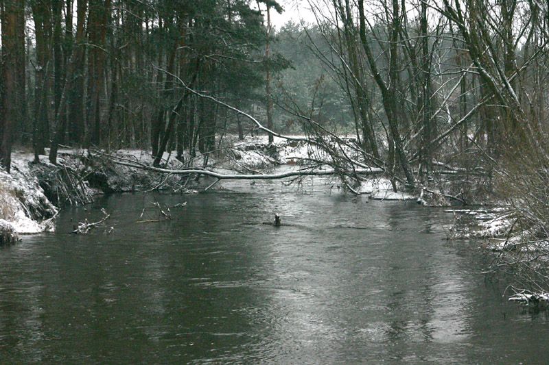2013 - Liswarta, zdjęcie 18 z 56, fot. Andrzej