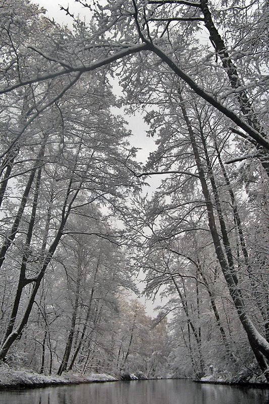 Korsyka i Sardynia -  2015, zdjęcie 28 z 50, fot. Mariusz
