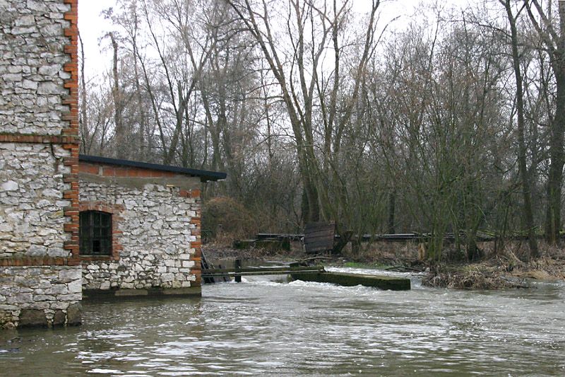 2013 - Liswarta, zdjęcie 10 z 56, fot. Andrzej