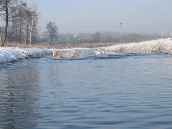 2012 - Pilica, zdjęcie 13 z 40, fot. Dzieciuch