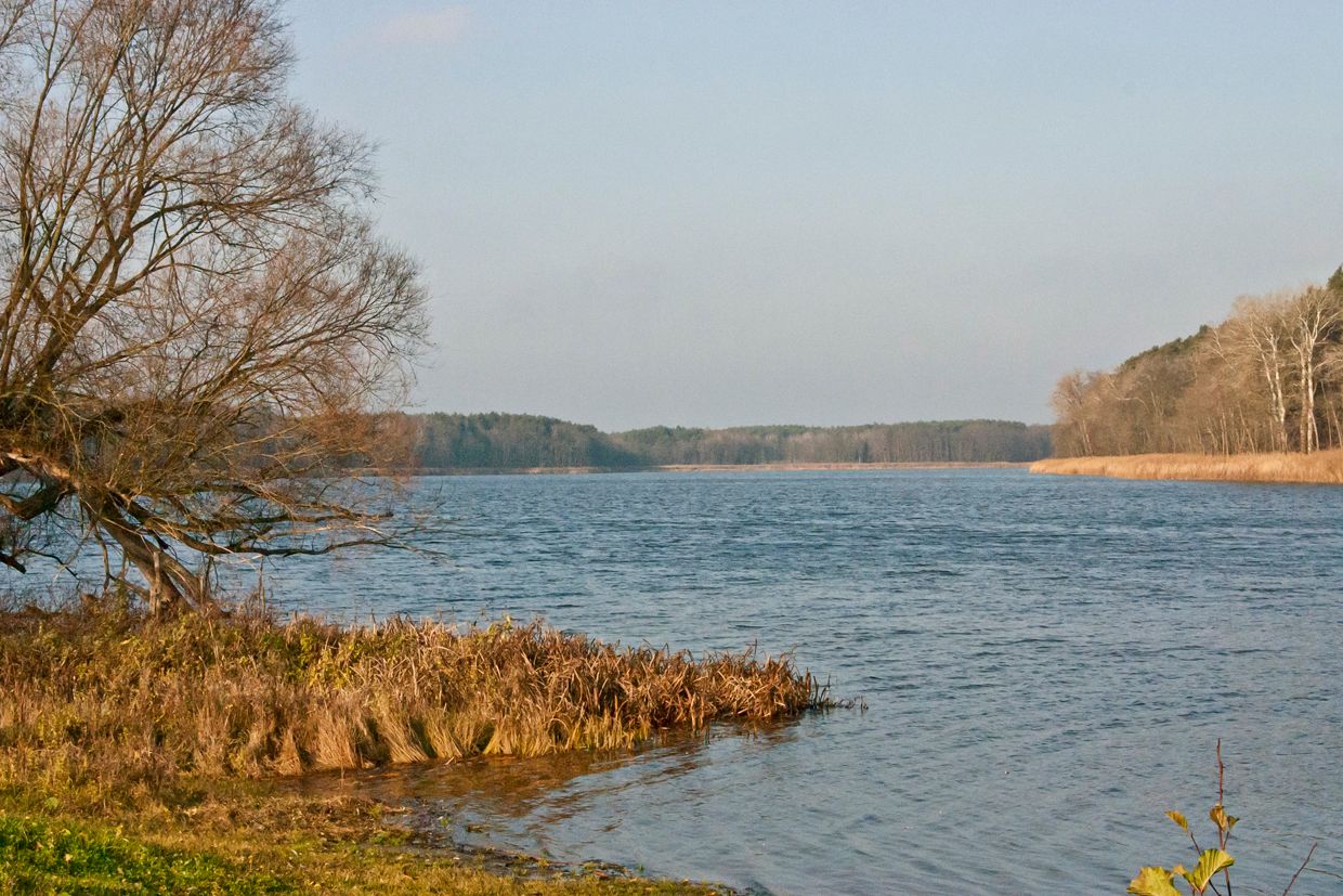 2019 - Obra, zdjęcie 3 z 56, fot. Andrzej