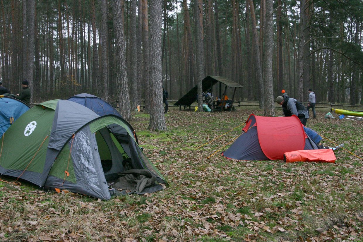 2019 - Obra, zdjęcie 19 z 56, fot. Andrzej