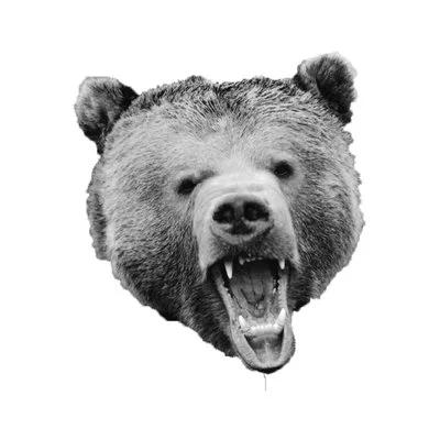 Short Bear 
