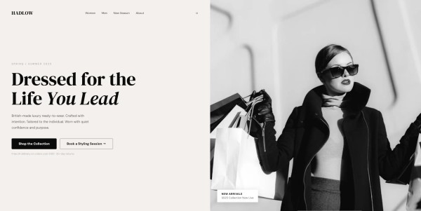 Website example 6