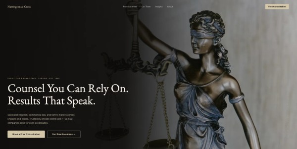 Website example 3
