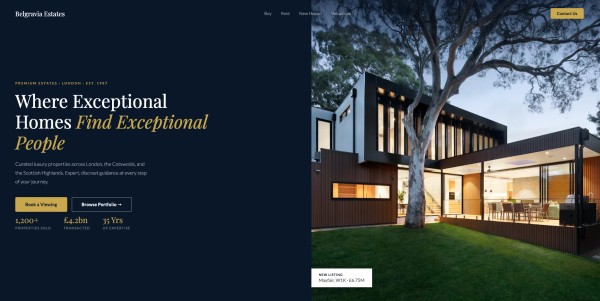 Website example 1