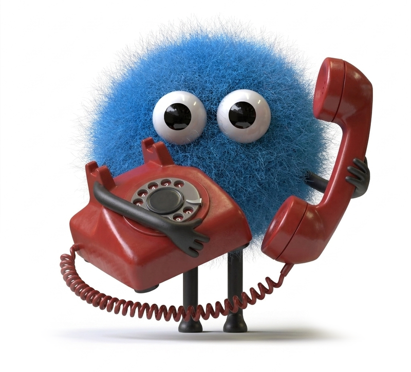 Friendly No Fuss Websites team