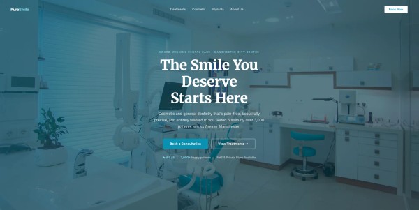 Website example 2