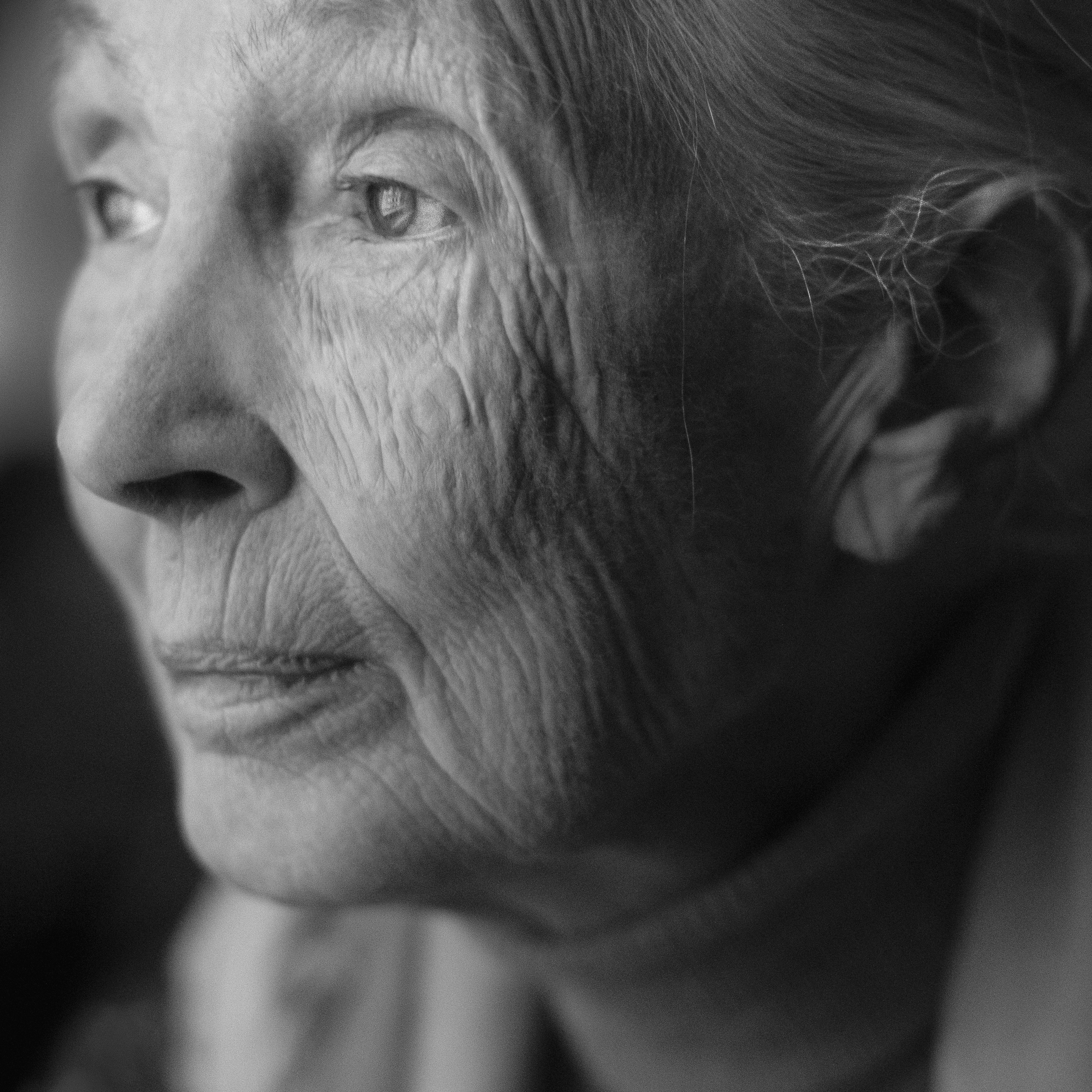 Erinn Springer Jane Goodall
