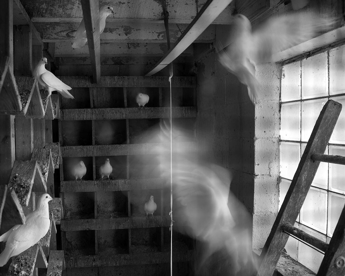 2020-2023 · Erinn Springer