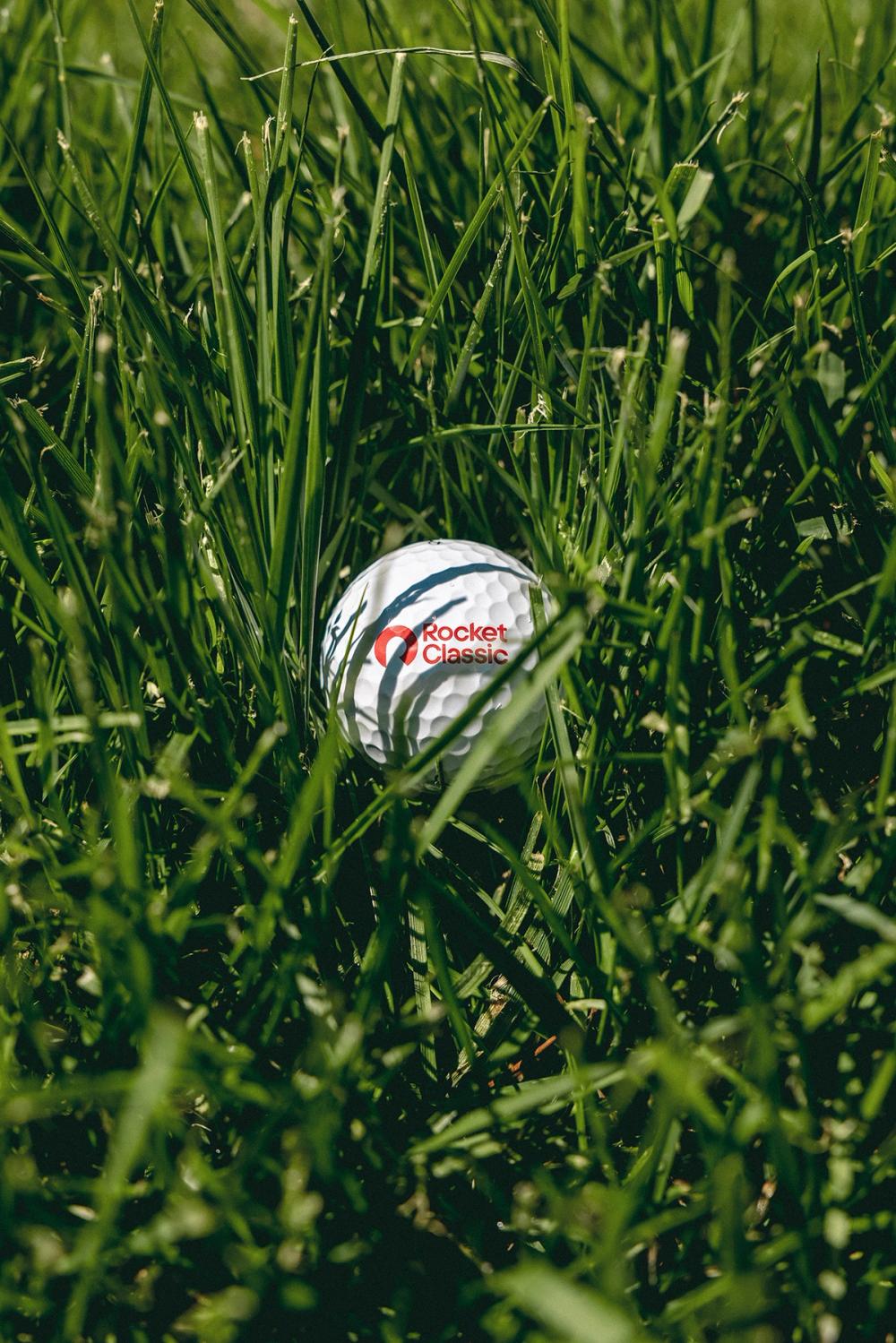 Golf Ball in Grass