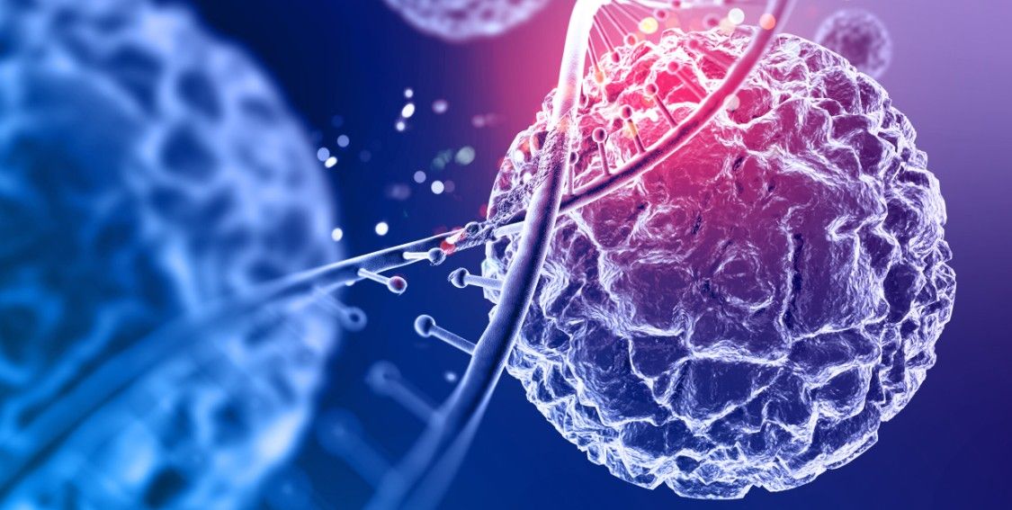 Comment Un Plan De Traitement Oncologique Personnalisé Est-Il Déterminé?