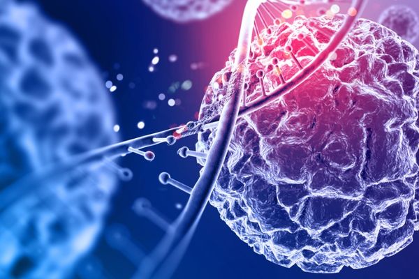 Comment Un Plan De Traitement Oncologique Personnalisé Est-Il Déterminé? Comment Un Plan De Traitement Oncologique Personnalisé Est-Il Déterminé?