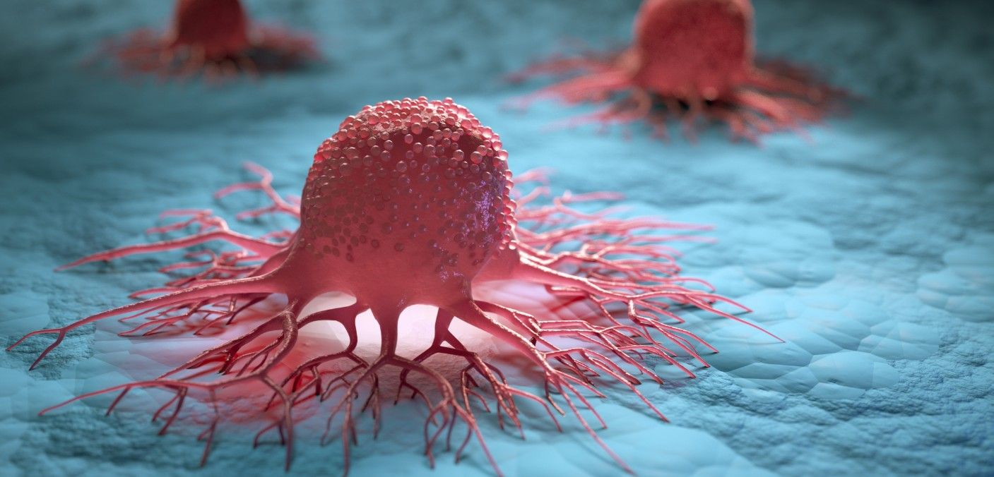 Dans Quels Types De Cancer L’Immunothérapie Est-Elle Utilisée?